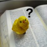 サービスとホスピタリティの違い