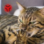 怒ることは「悪」ですか？